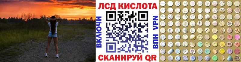 дарнет шоп  hydra ссылка  Наркотические марки 1,8мг  Бакал 